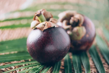 Açai Nedir, Açai Meyvesinin Faydaları Nelerdir